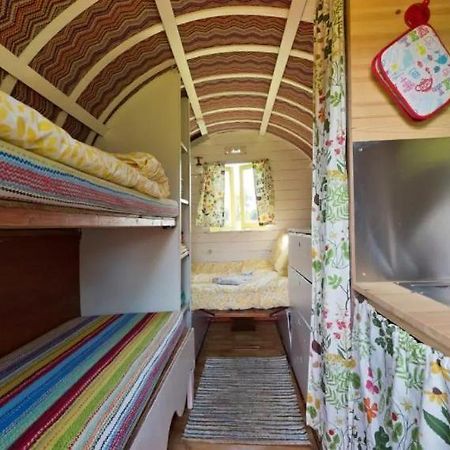 Clissmann Horse Caravans Glamping Rathdrum Eksteriør bilde