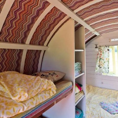 Clissmann Horse Caravans Glamping Rathdrum Eksteriør bilde