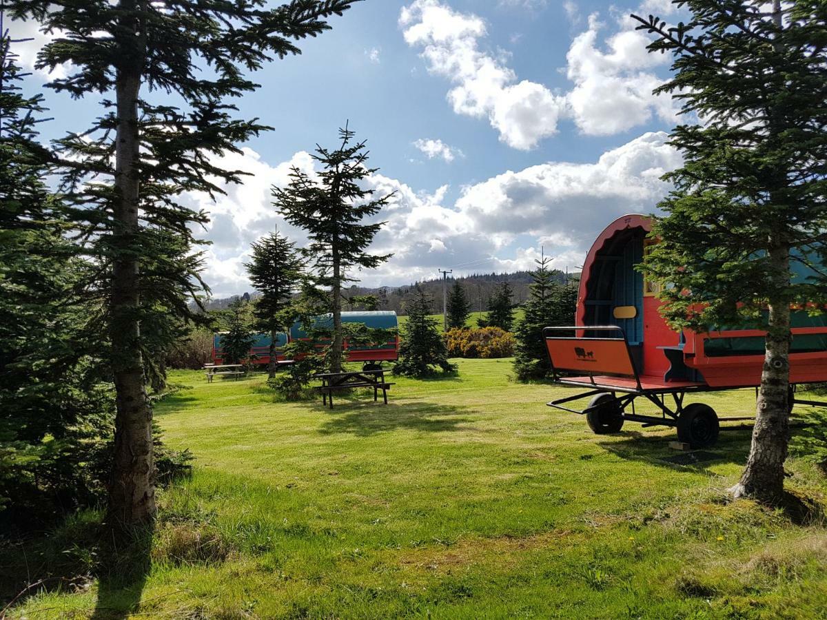 Clissmann Horse Caravans Glamping Rathdrum Eksteriør bilde