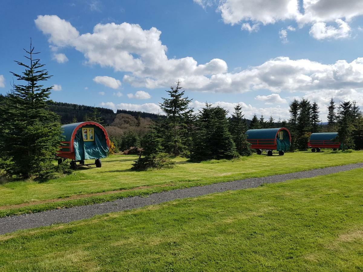 Clissmann Horse Caravans Glamping Rathdrum Eksteriør bilde