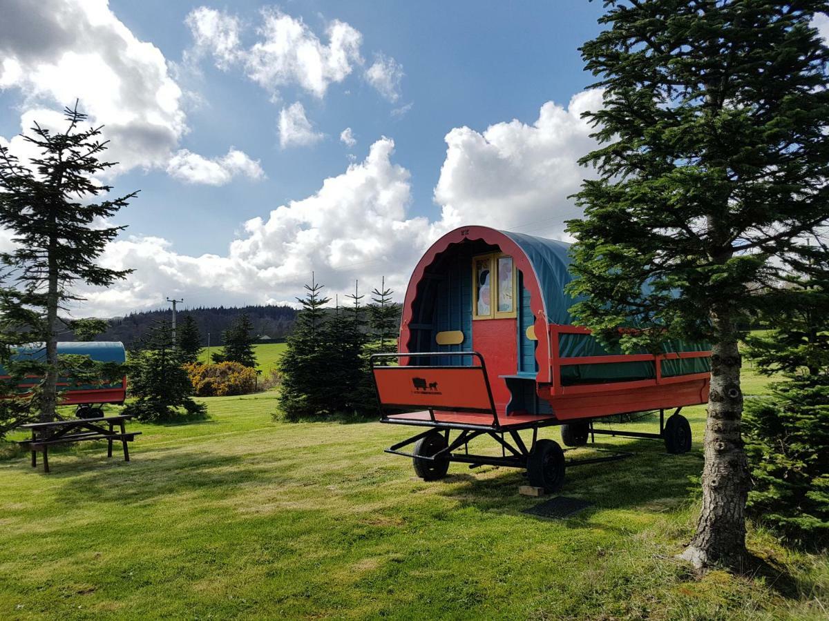 Clissmann Horse Caravans Glamping Rathdrum Eksteriør bilde