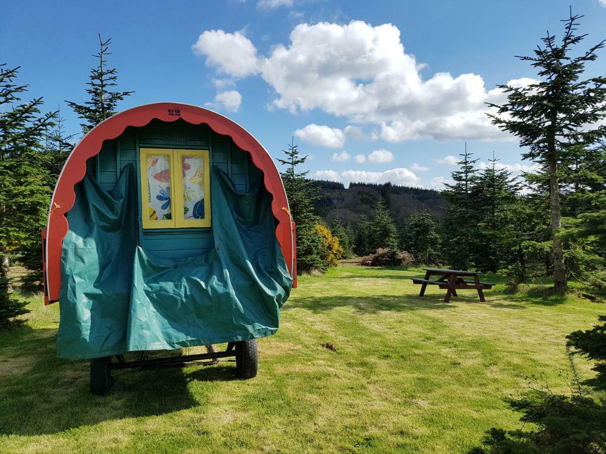 Clissmann Horse Caravans Glamping Rathdrum Eksteriør bilde