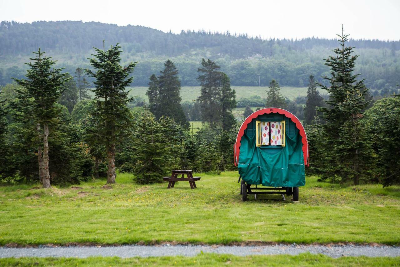 Clissmann Horse Caravans Glamping Rathdrum Eksteriør bilde