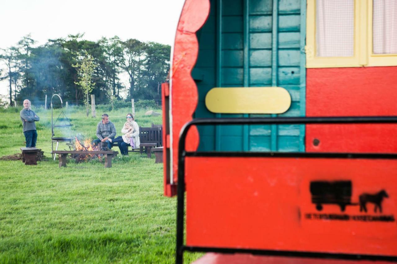 Clissmann Horse Caravans Glamping Rathdrum Eksteriør bilde