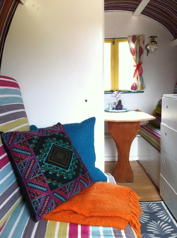 Clissmann Horse Caravans Glamping Rathdrum Eksteriør bilde